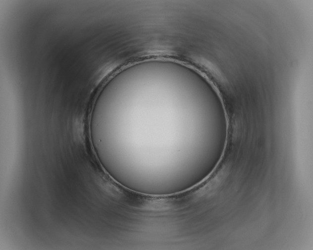 X0000112021162200908101356