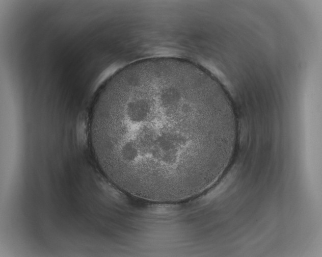 X0000112021163200908101356