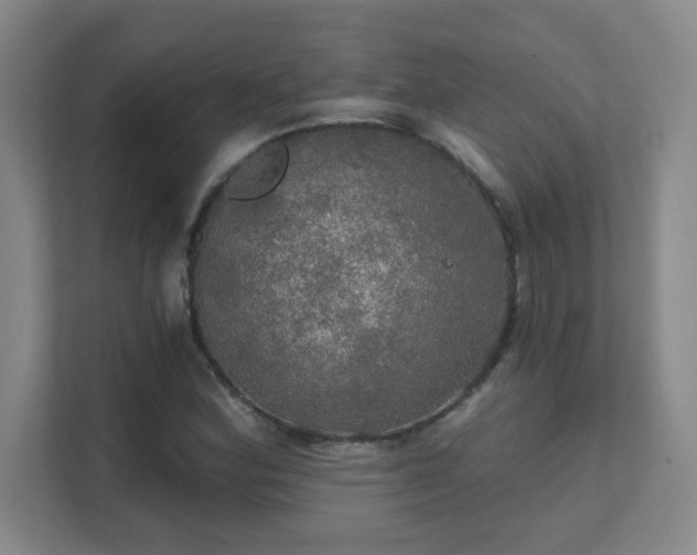 X0000112021164200908101356