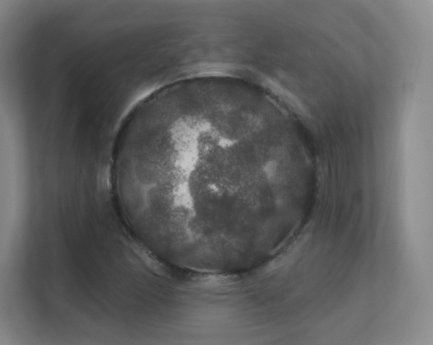 X0000112021166200908101356