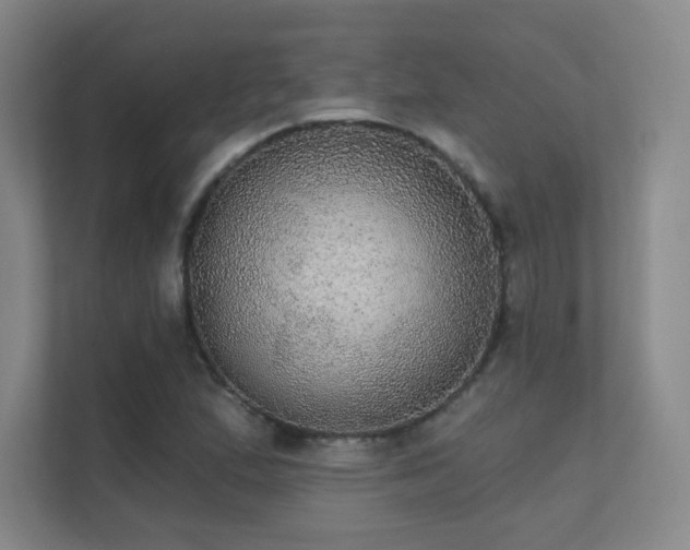 X0000112021167200908101356