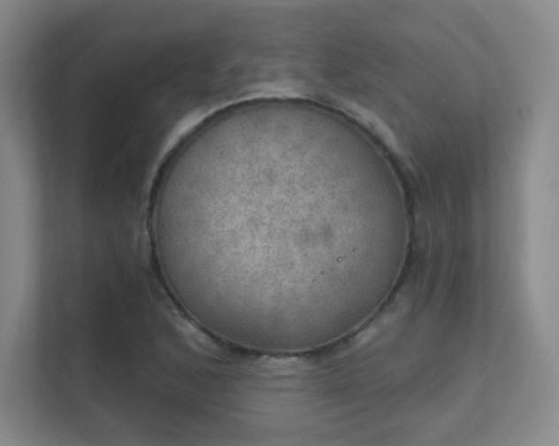 X0000112021168200908101356