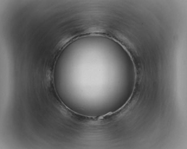 X0000112021169200908101356