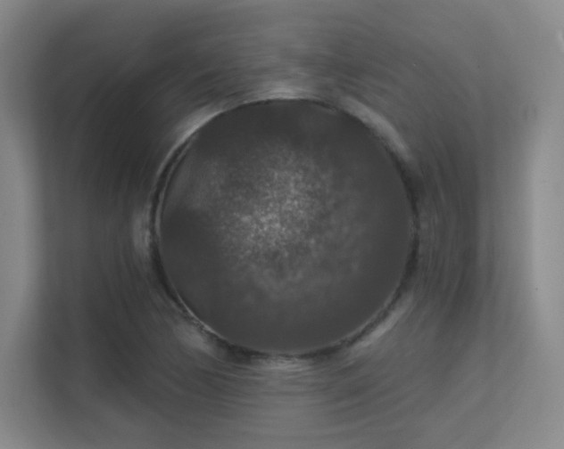 X0000112021170200908101356