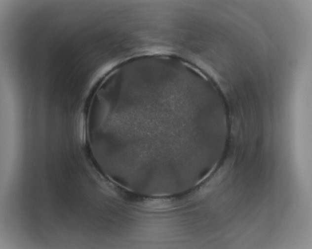 X0000112021171200908101356