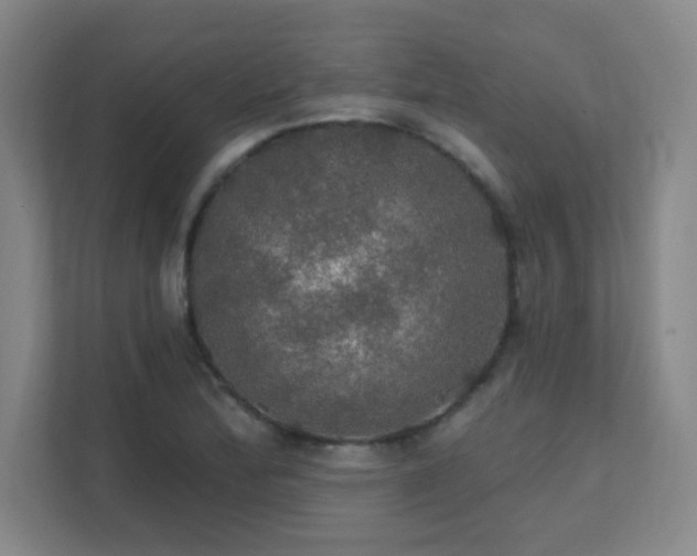 X0000112021172200908101356