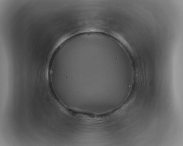 X0000112021173200908101356