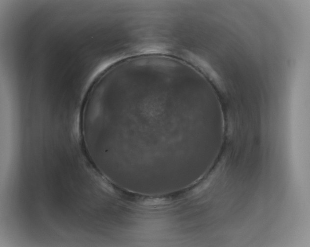 X0000112021174200908101356