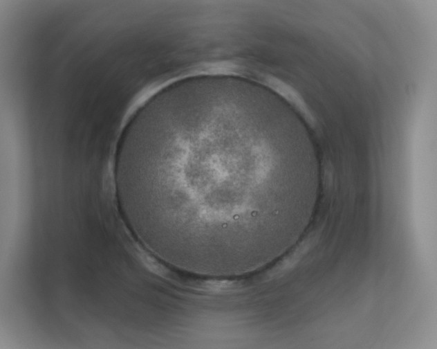 X0000112021176200908101356