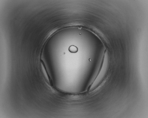 X0000112021177200908101356