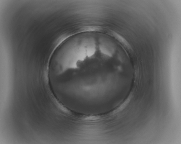 X0000112021178200908101356