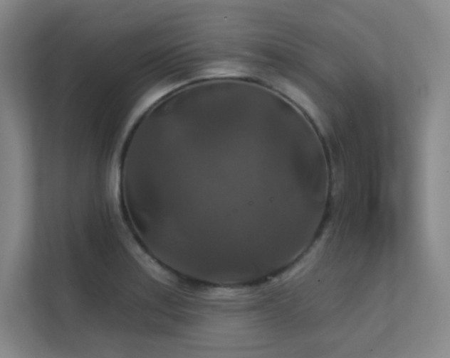 X0000112021179200908101356