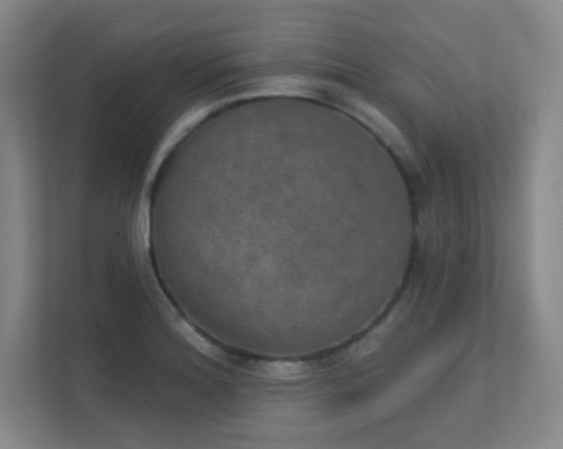 X0000112021180200908101356