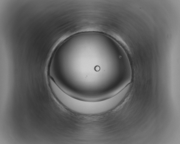 X0000112021181200908101356