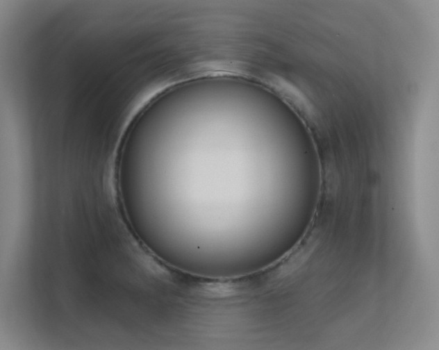 X0000112021182200908101356