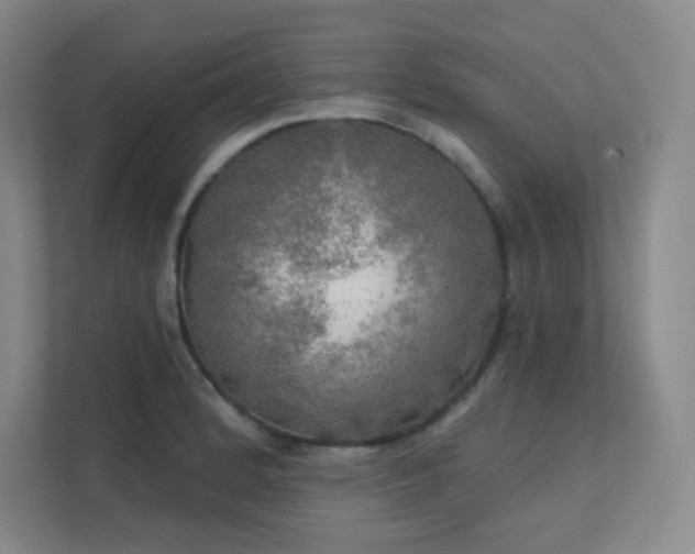 X0000112021184200908101356