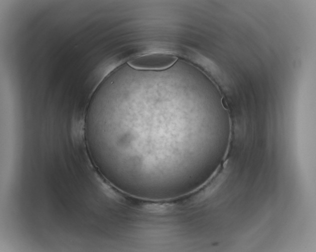 X0000112021185200908101356