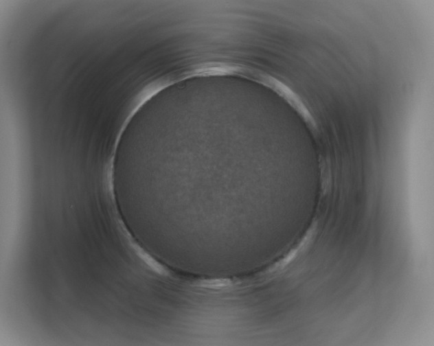 X0000112021186200908101356