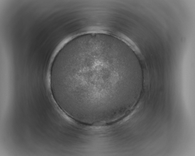 X0000112021188200908101356