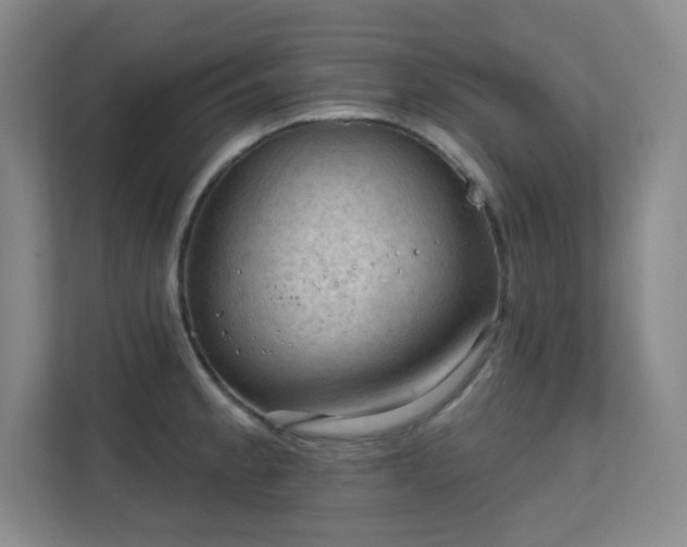 X0000112021189200908101356