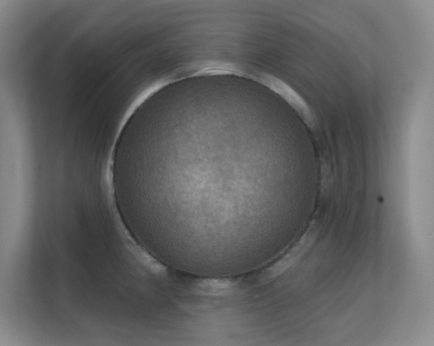 X0000112021190200908101356