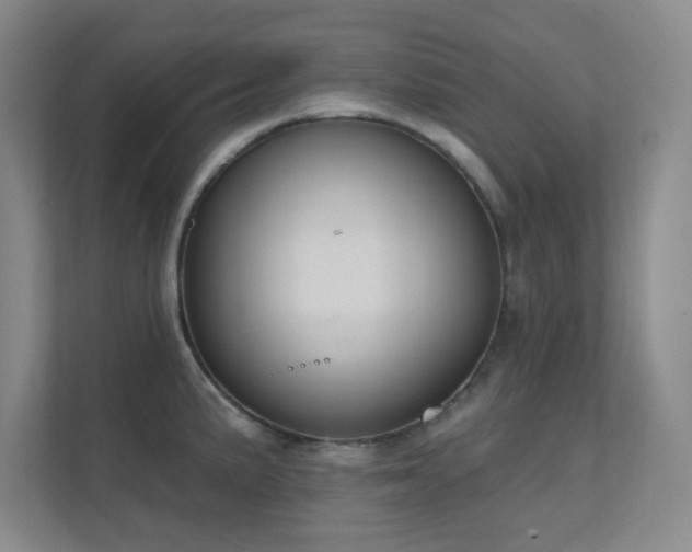 X0000112021191200908101356