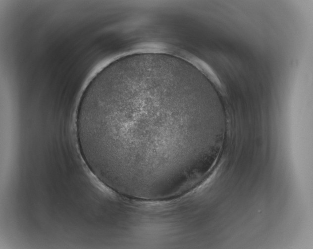 X0000112021192200908101356