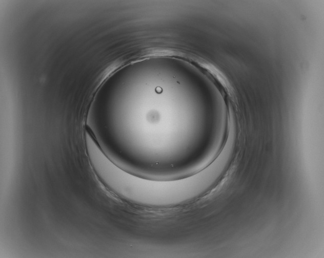 X0000112021193200908101356