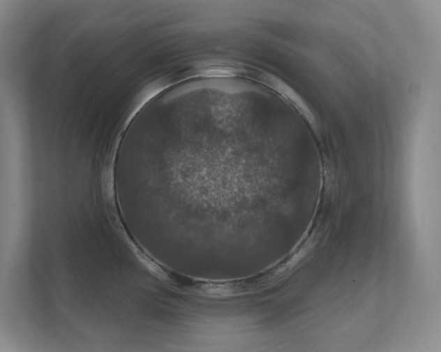 X0000112021194200908101356