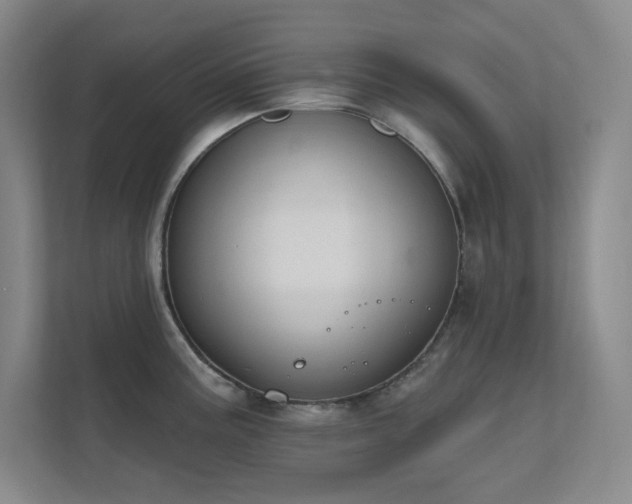 X0000112021195200908101356