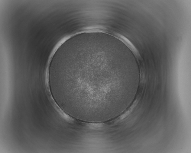 X0000112021196200908101356