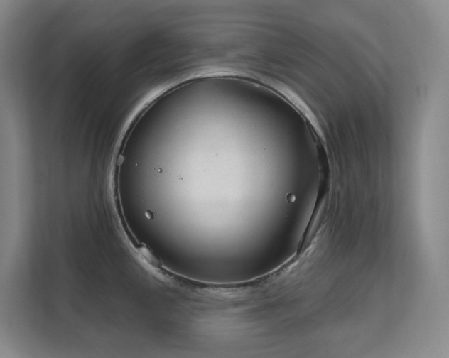 X0000112021197200908101356