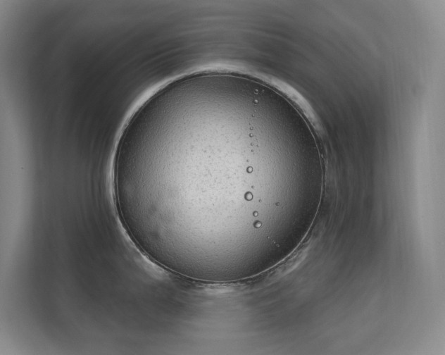 X0000112021199200908101356