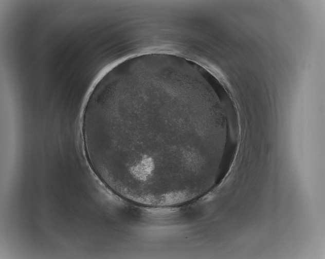 X0000112021200200908101355