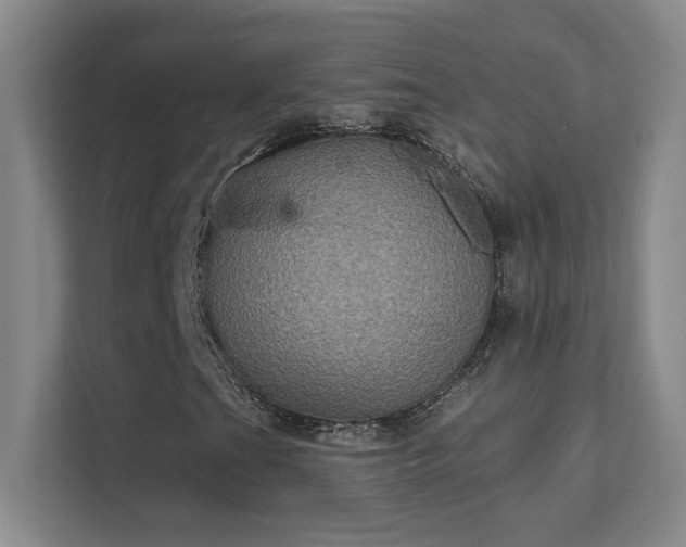 X0000112021201200908101355