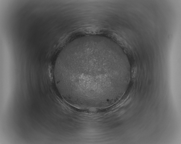 X0000112021202200908101355