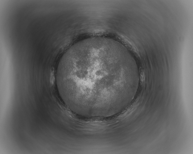 X0000112021204200908101355