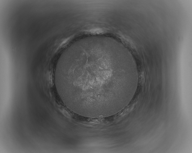 X0000112021205200908101355