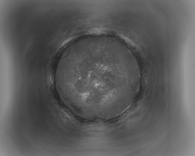 X0000112021206200908101355