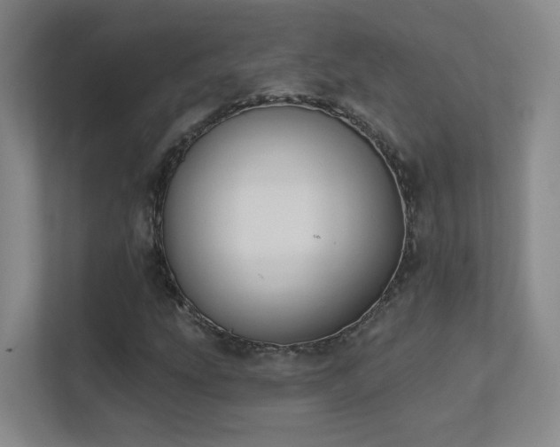 X0000112021207200908101355