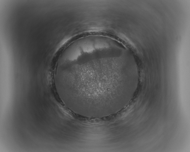 X0000112021208200908101355