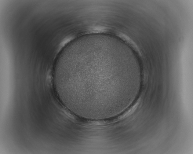 X0000112021210200908101355