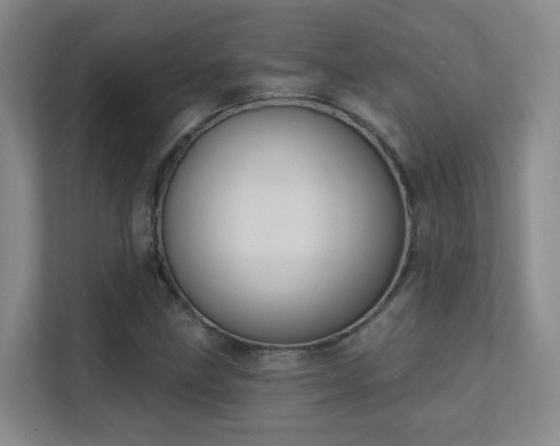 X0000112021211200908101355