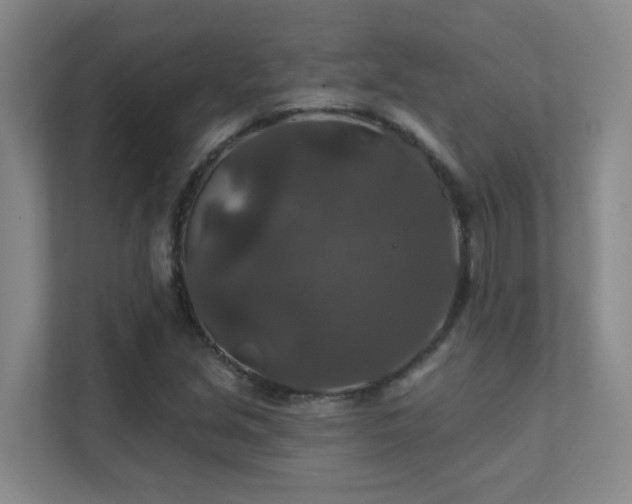 X0000112021213200908101355