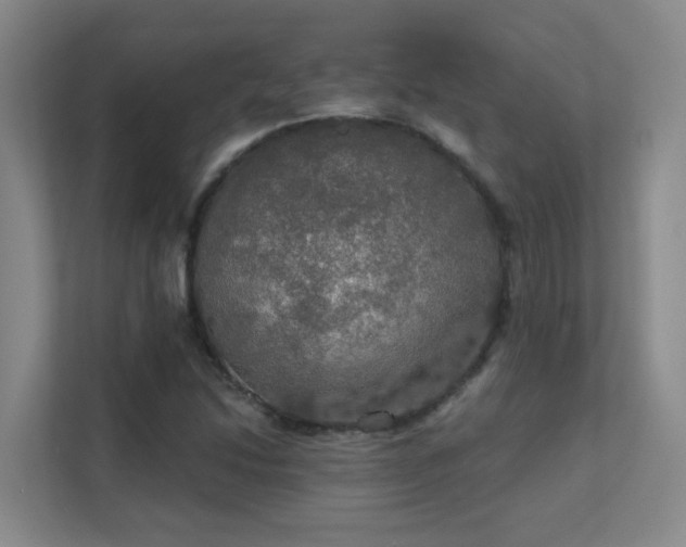 X0000112021214200908101355