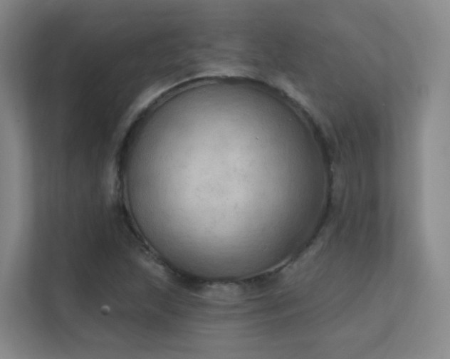 X0000112021215200908101355