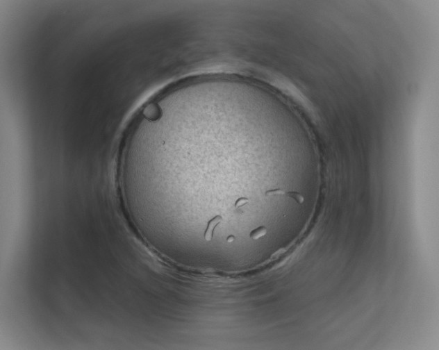 X0000112021216200908101355