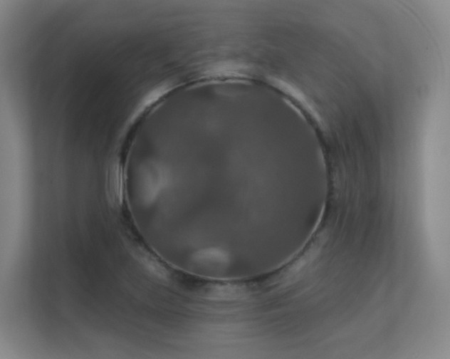 X0000112021219200908101355