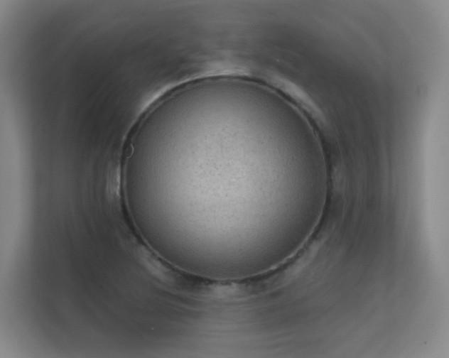 X0000112021220200908101355