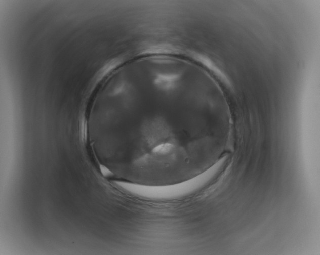 X0000112021221200908101355